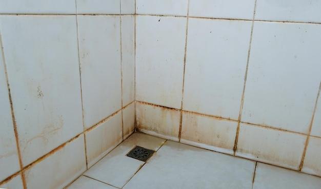 black mold under tile in bathroom