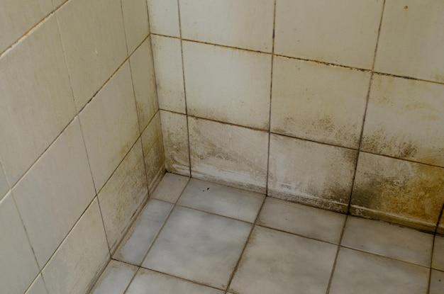 black mold under tile in bathroom