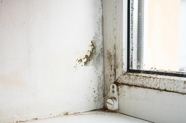 replacing windows in rental property