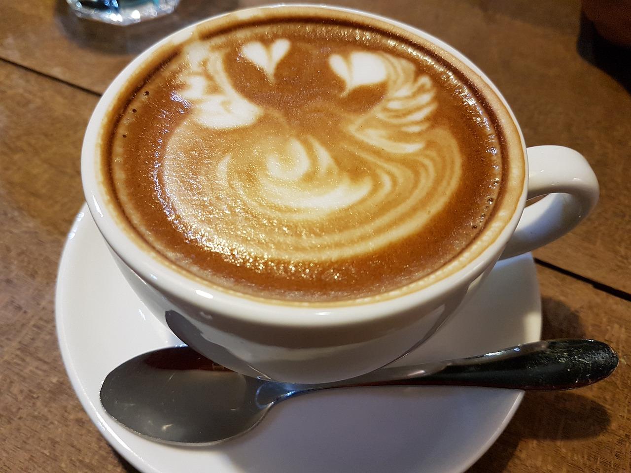 terra kaffe latte settings