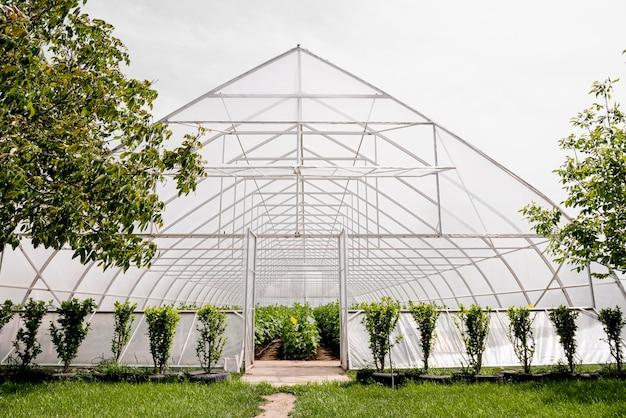 modern greenhouses