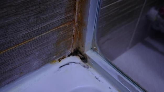 water damage on wall next to shower