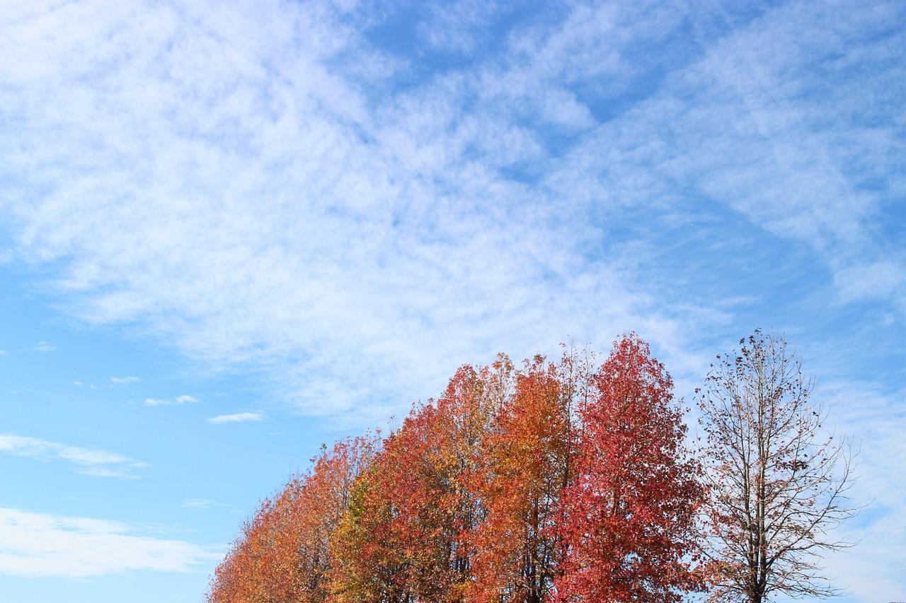 fall sky colors