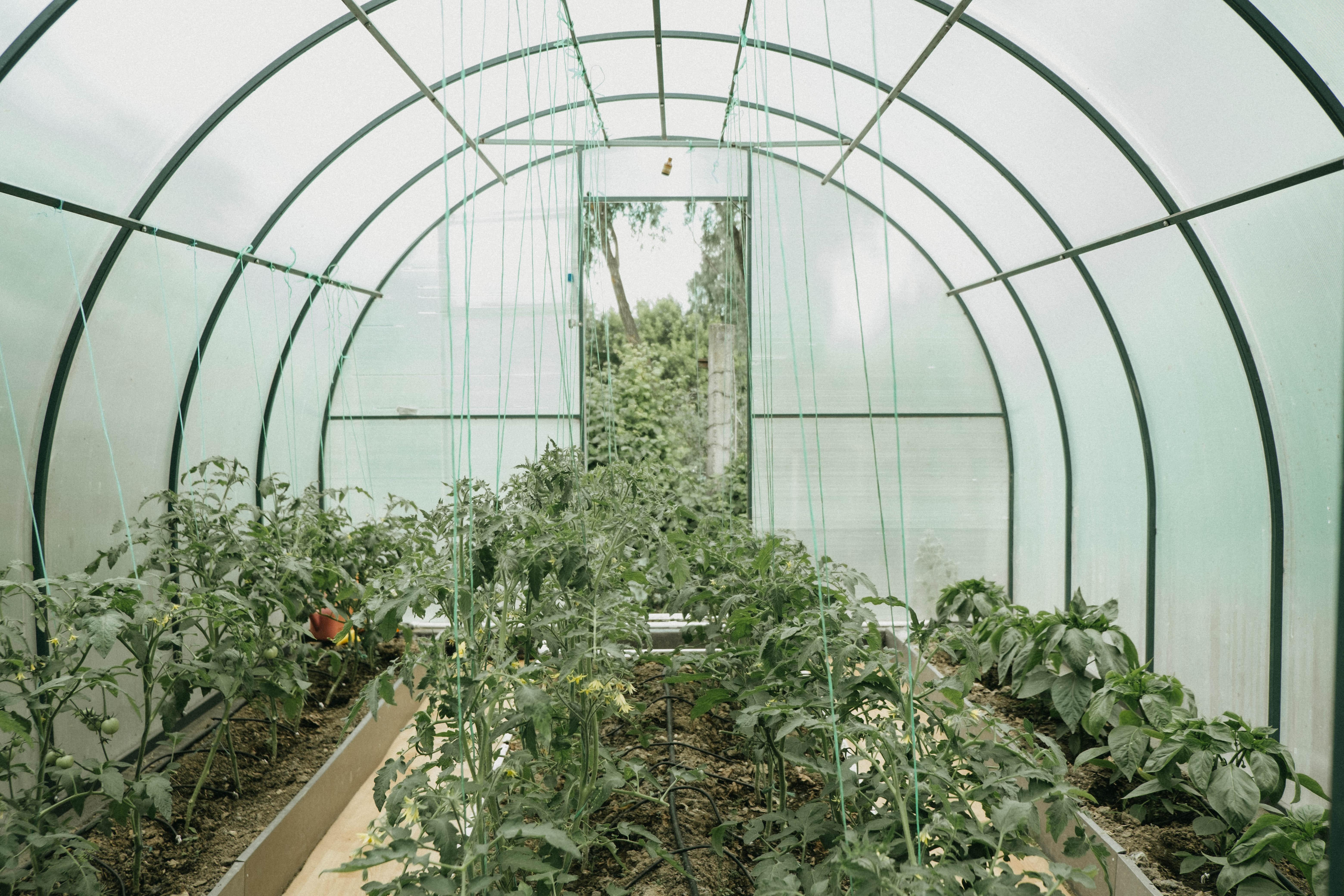 4000 sq ft greenhouse