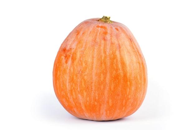 pumpkin gmo
