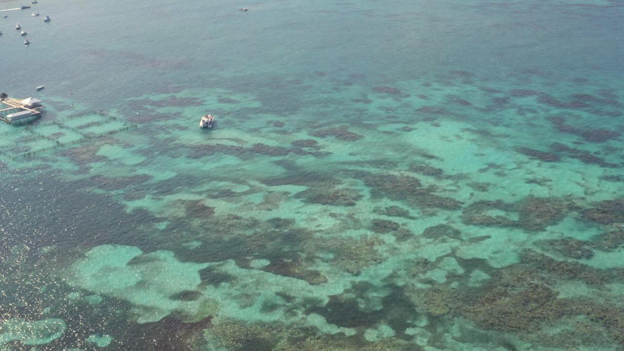 punta cana coral reef
