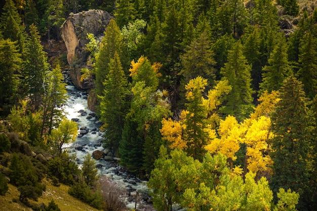 what to do in vail in september
