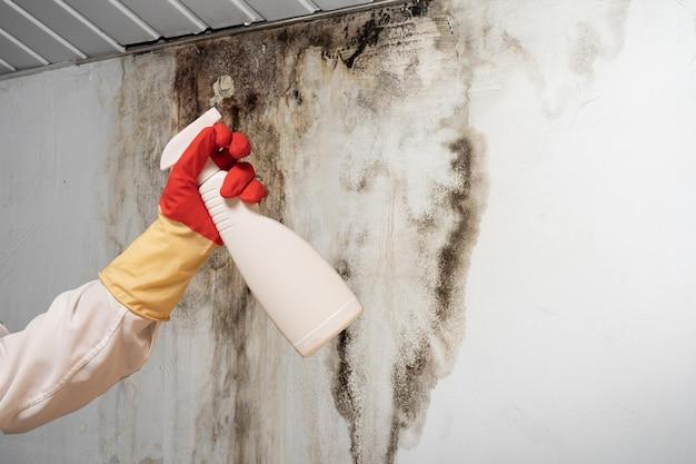how to remove mold in air ducts