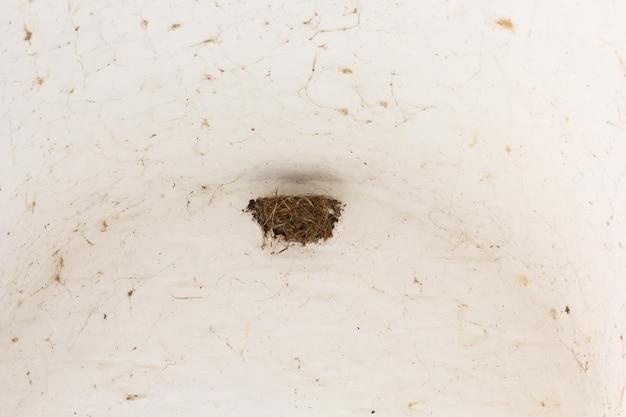 i found termites in my bathroom