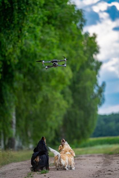 asylon drone dog