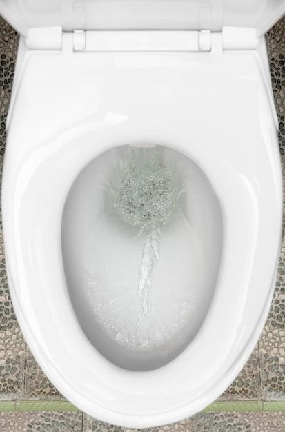toilet flush noise