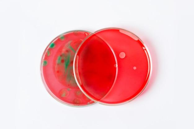 lipstick mold bacteria