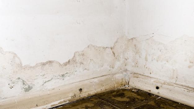 pictures of water damage vs termite damage