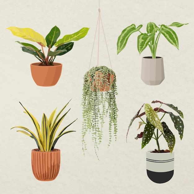 how much to charge for planting plants