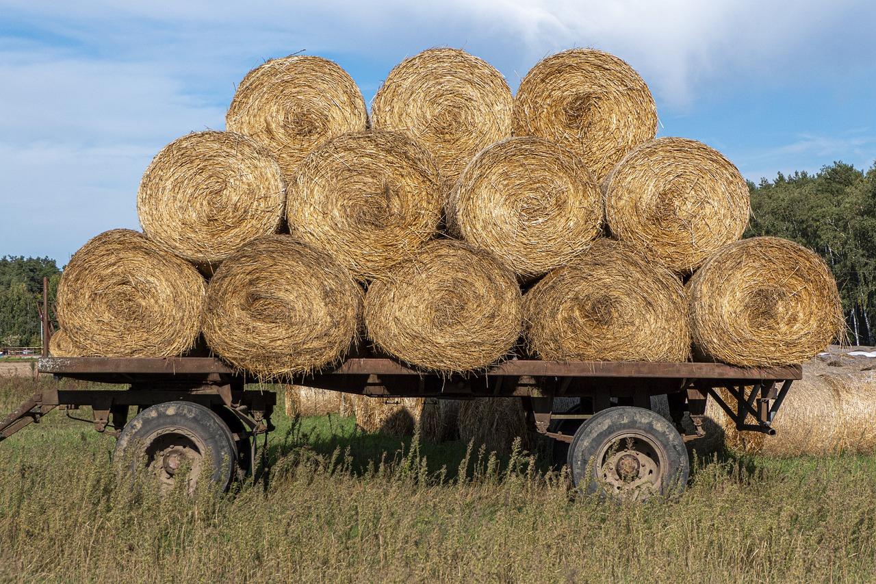 rolling hay bale