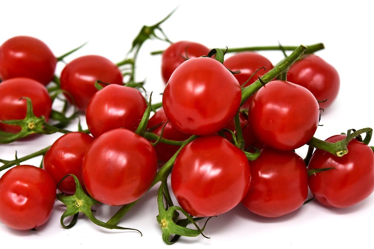 snacking tomatoes