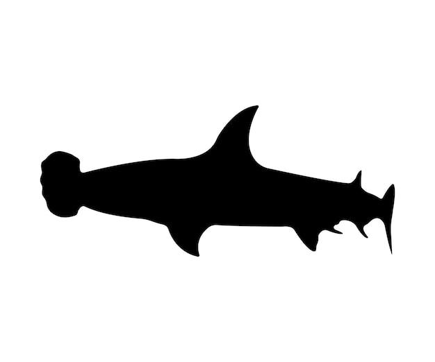 jack mono shark