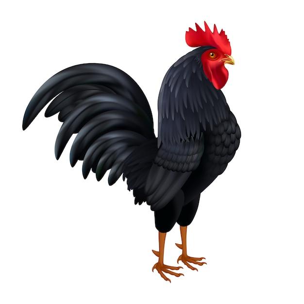 black rooster chianti