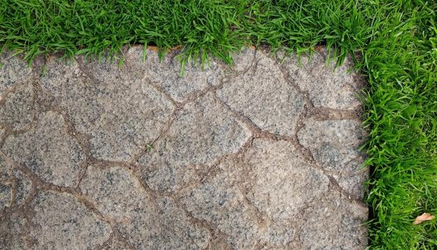 cracks in lawn