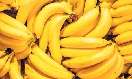 upcycled bananas