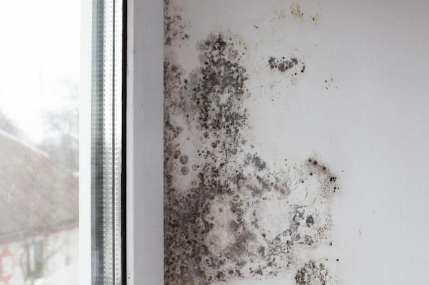 what causes mold around ac vents