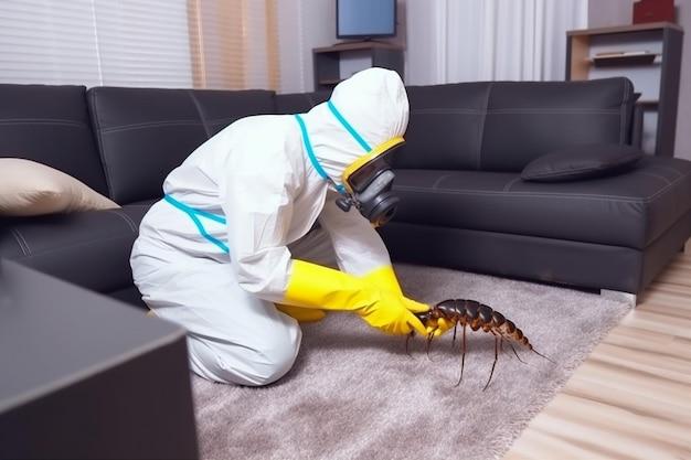 when should you call an exterminator for roaches