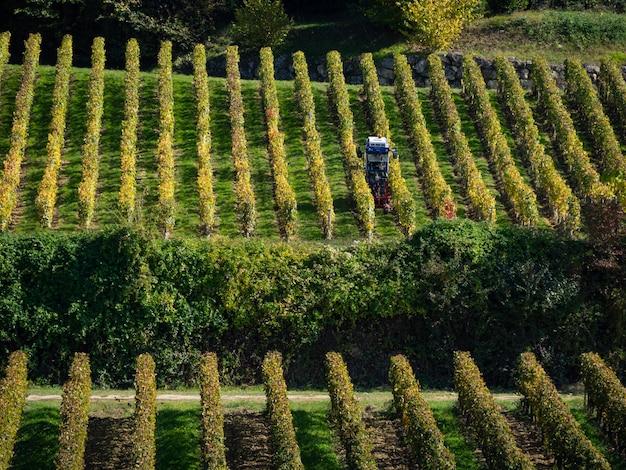 why is vineyard vines so expensive