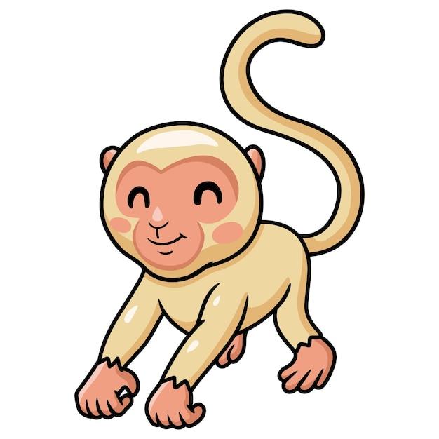 albino monkeys