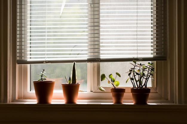 what blinds are best for bay windows