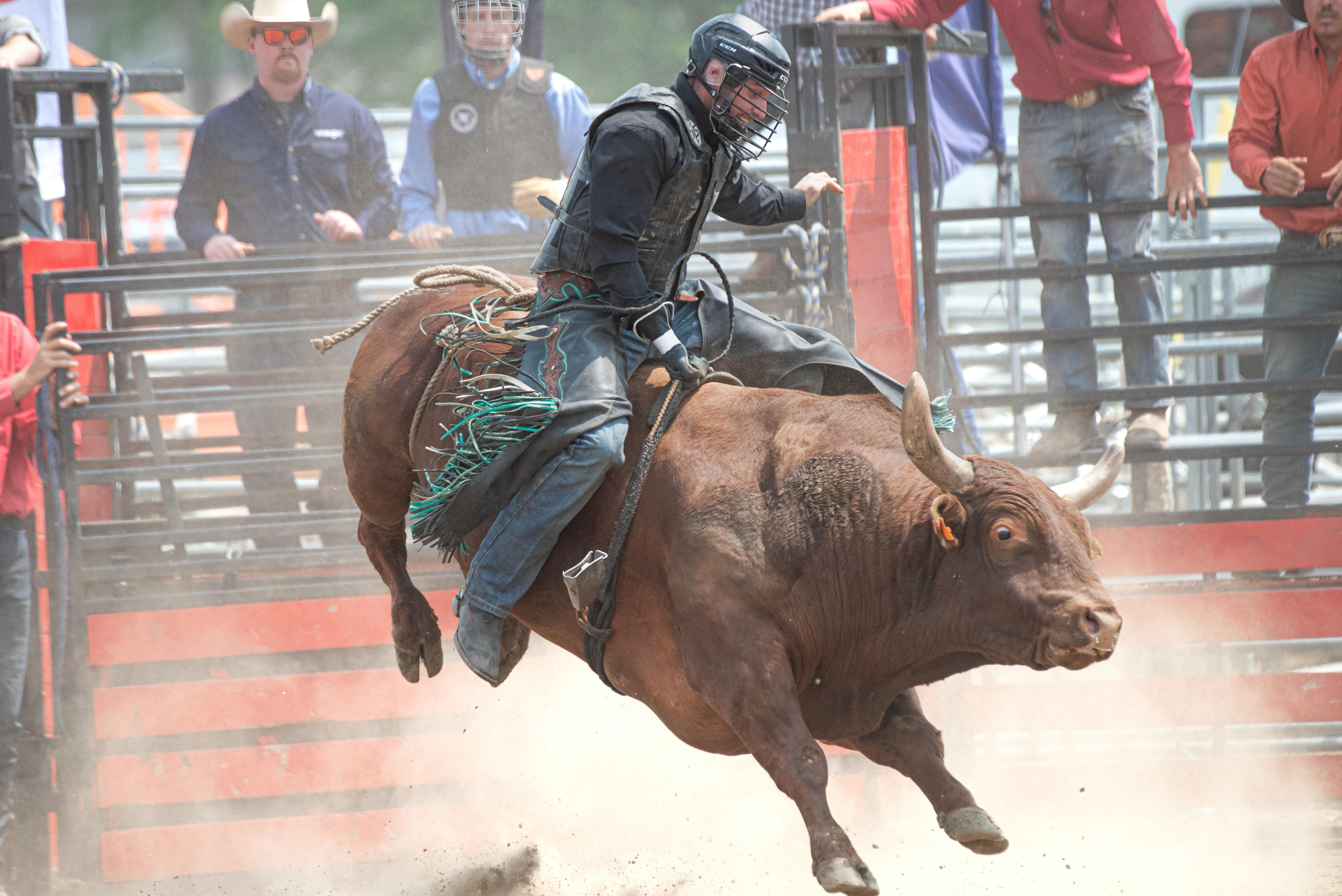 bull riding helmets
