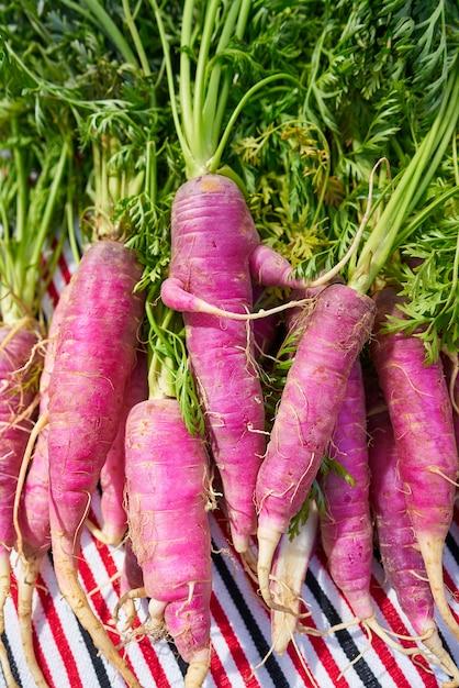 pink carrots