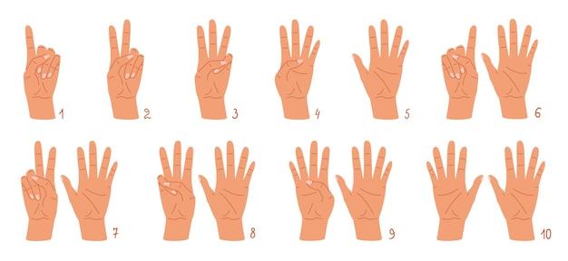 Do humans have 8 or 10 fingers?