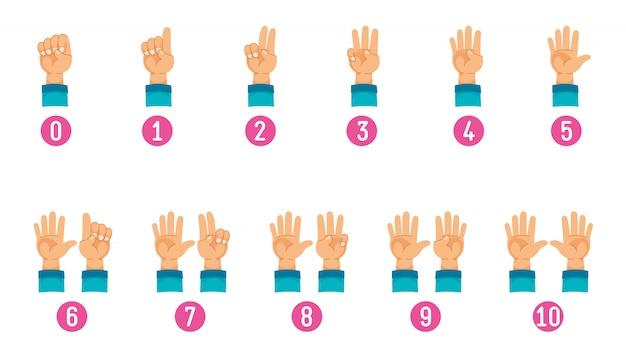 Do humans have 8 or 10 fingers?
