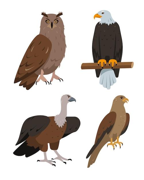 eagle vs hawk vs falcon