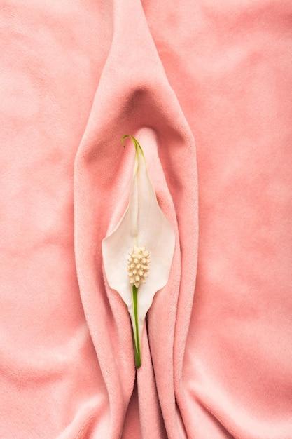 flowers that look like vaginas