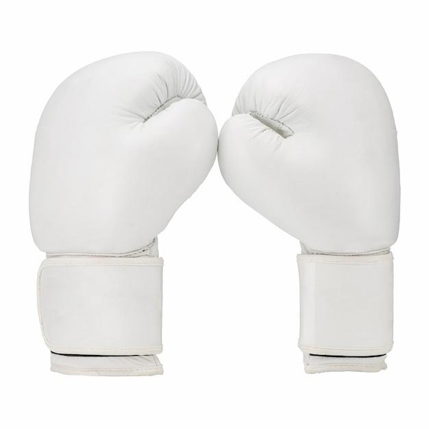 fly boxing gloves