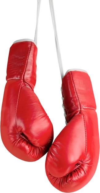 fly boxing gloves
