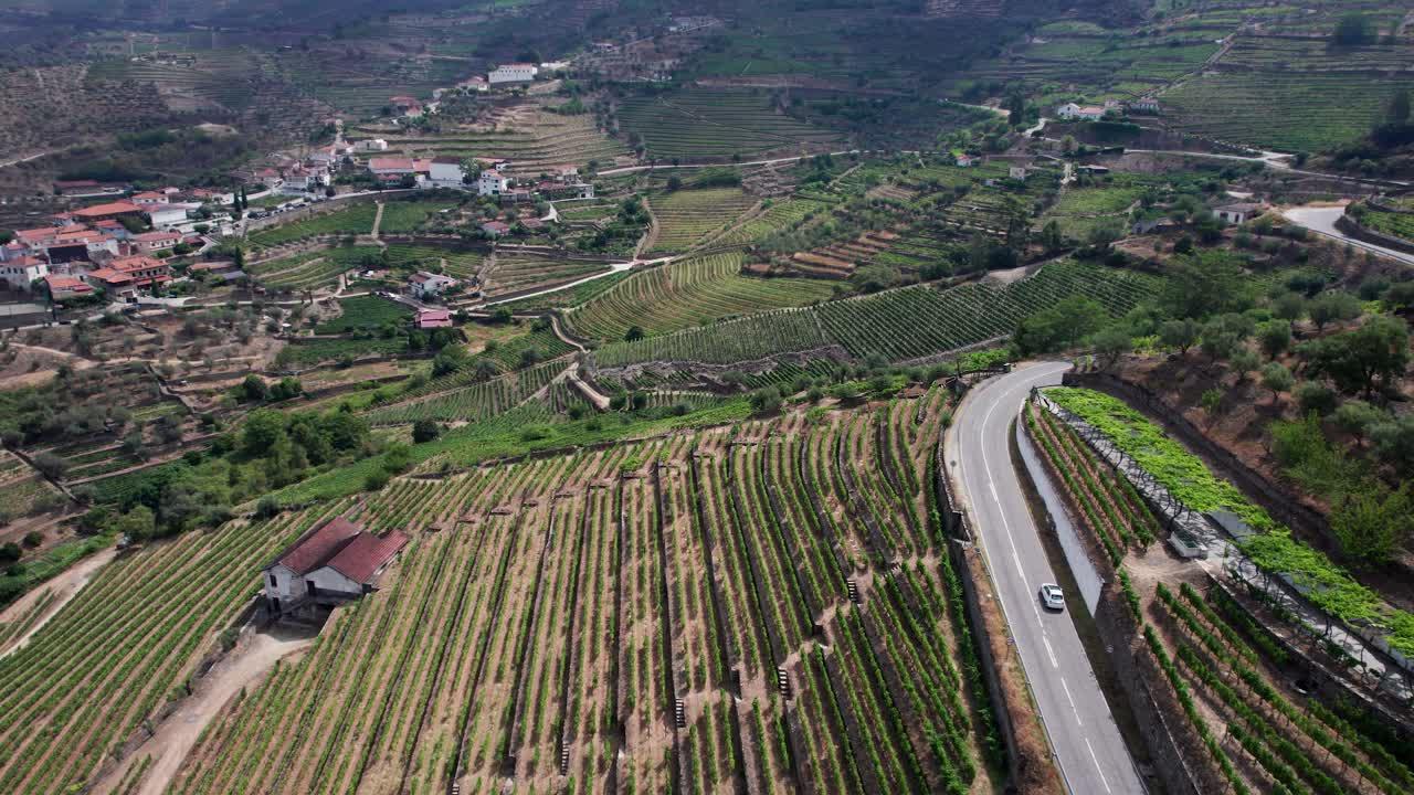 grape stomping douro valley