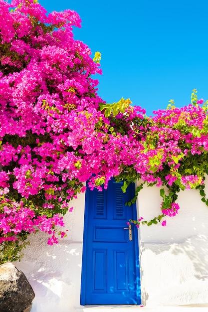 greek flowers