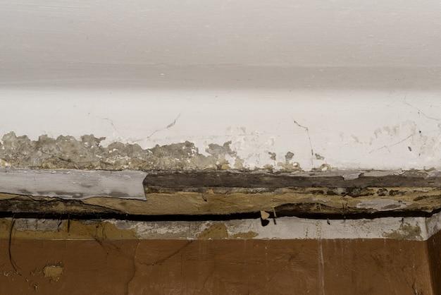 termite roof damage