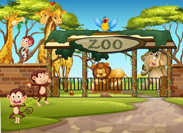zoo file