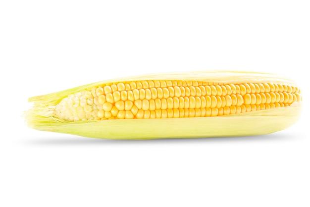 corn head