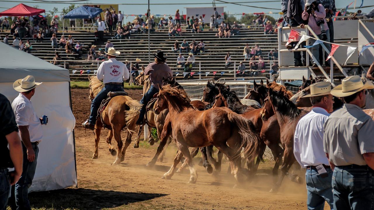 west texas fair and rodeo