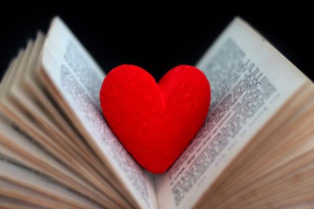 Does book lovers have romance?