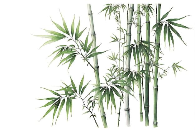  Is Bamboo Good For Wood Burning Art 