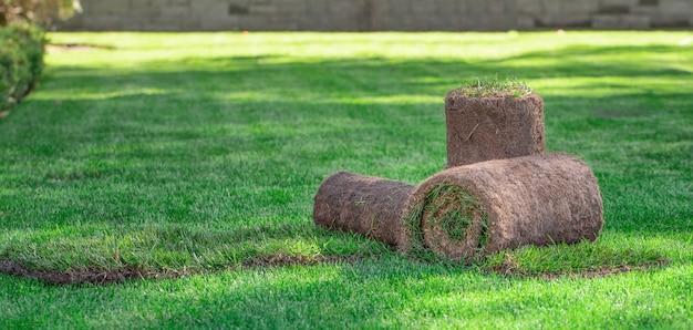 How To Re Grass A Yard 