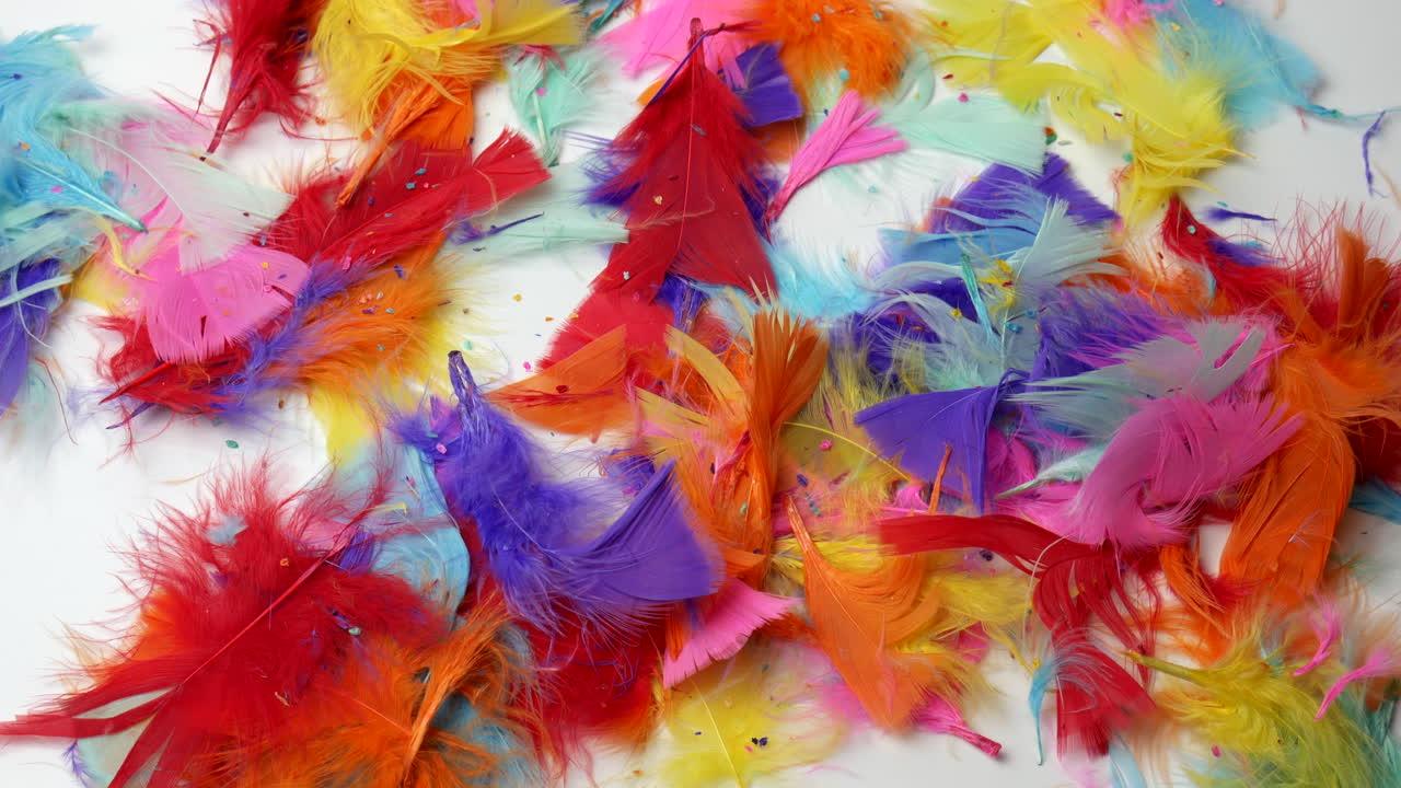 Are Craft Feathers Real Or Fake 