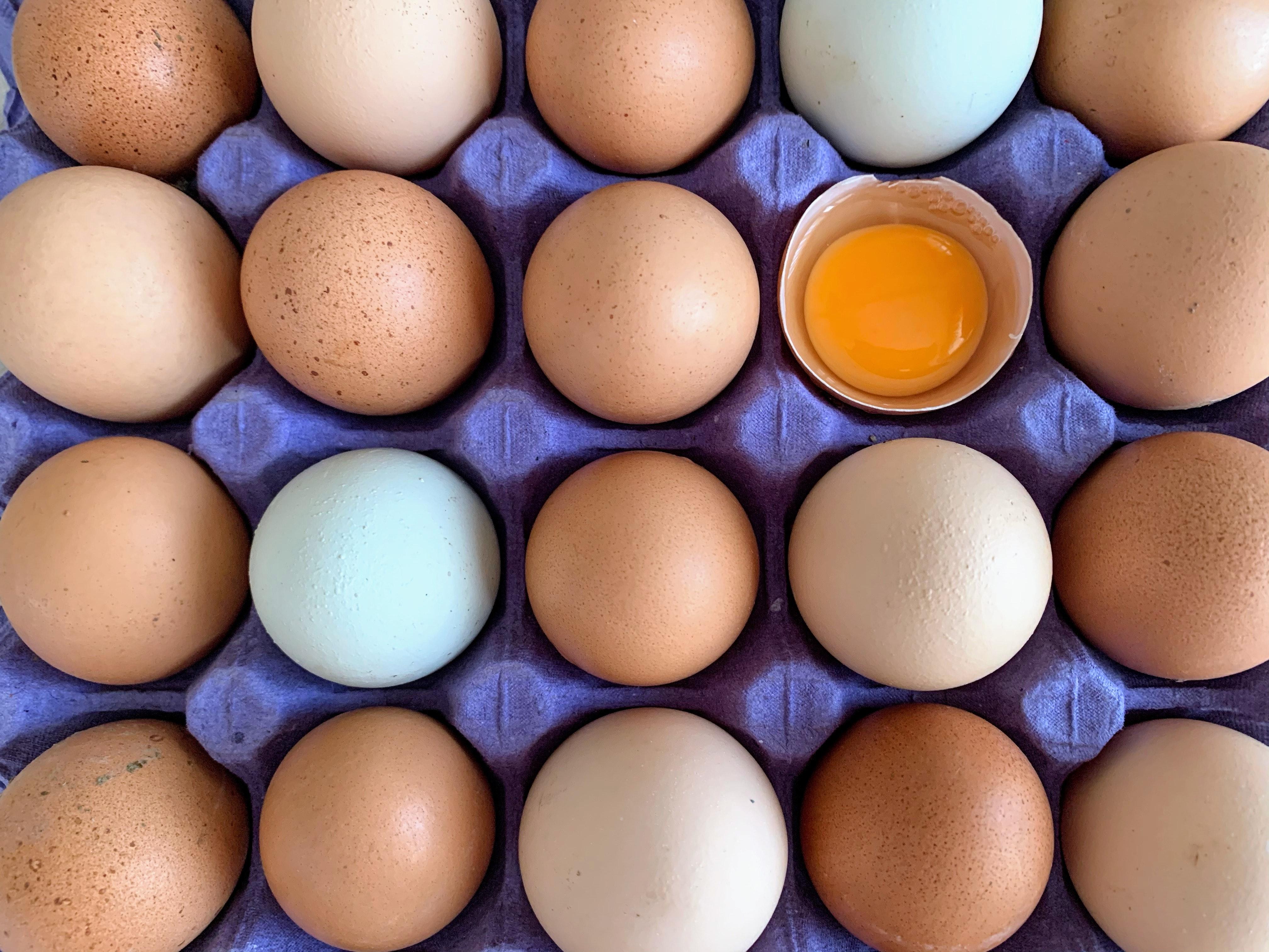 Are Organic Eggs Worth It 