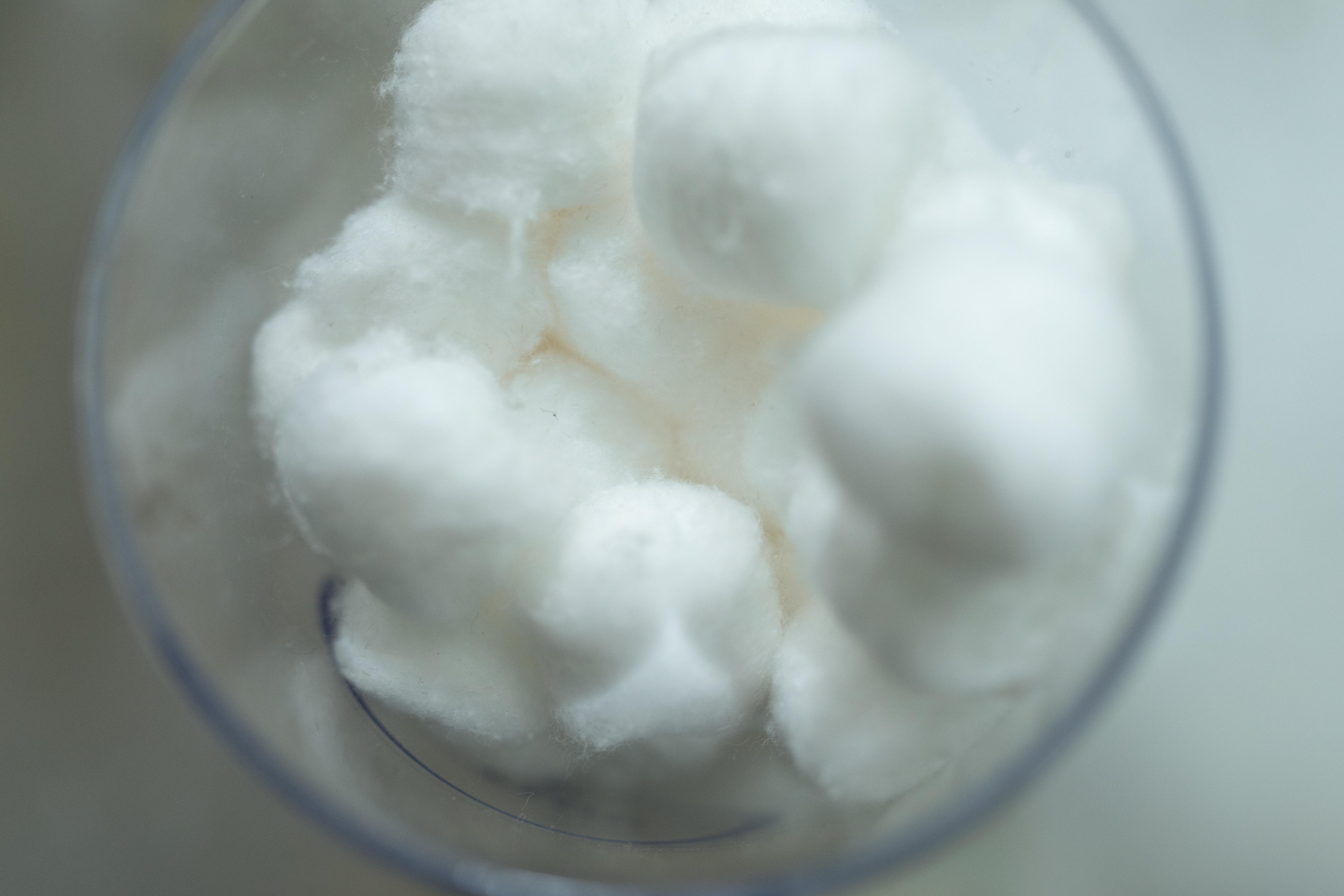  Can Cotton Balls Filter Water 