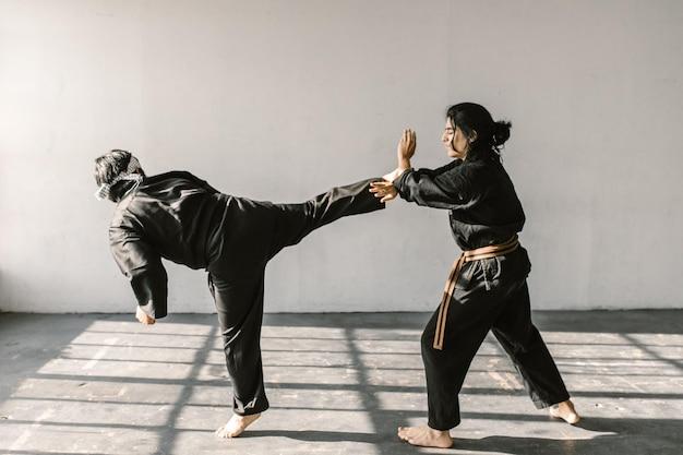 Which Martial Arts Technique Is Better Hapkido Vs Judo 